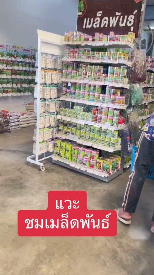 ปลูกง่าย โตไว เก็บเกี่ยวไว เมล็ดพันธุ์ดี ช่วยเพิ่มผลผลิตและลดความเสี่ยงในการปลูก